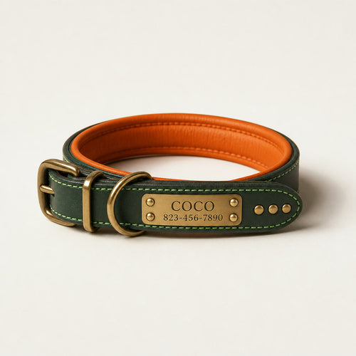 Collar personalizado verde de cuero con placa de latón grabada